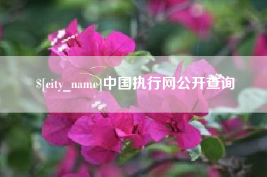 镇江中国执行网公开查询