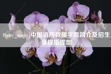 镇江中国消防救援学院简介及招生章程指挥部