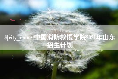 镇江中国消防救援学院2021年山东招生计划