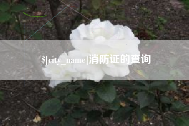 镇江消防证的查询
