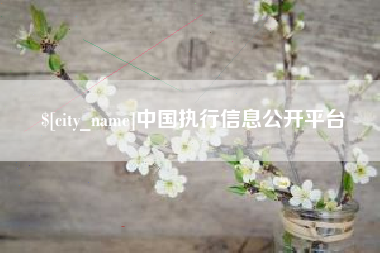 镇江中国执行信息公开平台