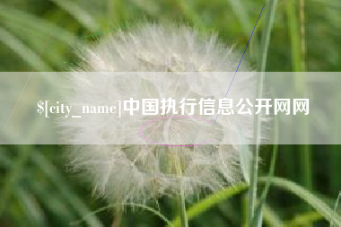 镇江中国执行信息公开网网
