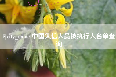 镇江中国失信人员被执行人名单查询