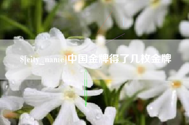 镇江中国金牌得了几枚金牌