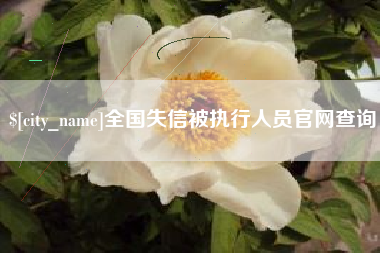 镇江全国失信被执行人员官网查询
