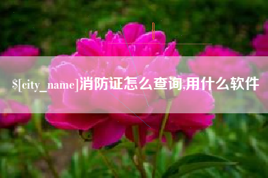 镇江消防证怎么查询,用什么软件