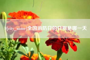 镇江全国消防日的日期是哪一天