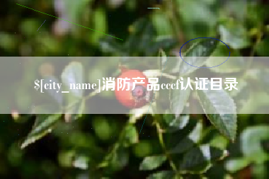 镇江消防产品cccf认证目录