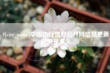 镇江中国执行信息公开网信息更新时间是多久
