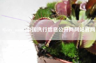 镇江中国执行信息公开网网站官网