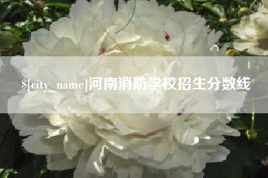 镇江河南消防学校招生分数线