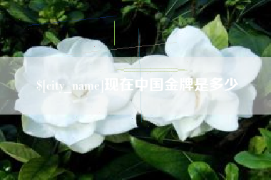 镇江现在中国金牌是多少