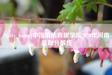 镇江中国消防救援学院2020年河南录取分数线