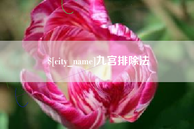 镇江九宫排除法
