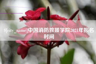 镇江中国消防救援学院2021年报名时间