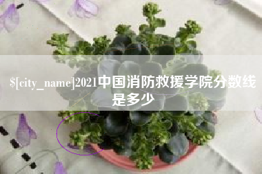 镇江2021中国消防救援学院分数线是多少