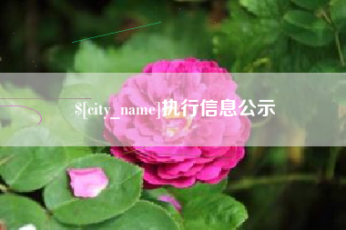镇江执行信息公示