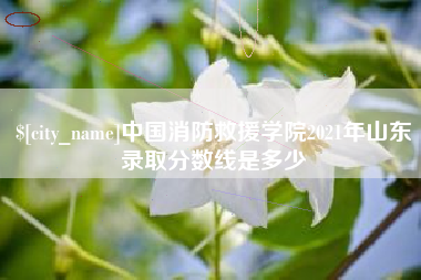 镇江中国消防救援学院2021年山东录取分数线是多少