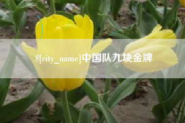 镇江中国队九块金牌