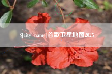 镇江谷歌卫星地图2025