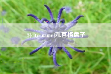 镇江九宫格盘子