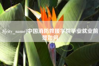 镇江中国消防救援学院毕业就业前景如何