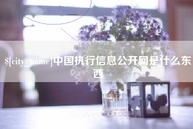 镇江中国执行信息公开网是什么东西