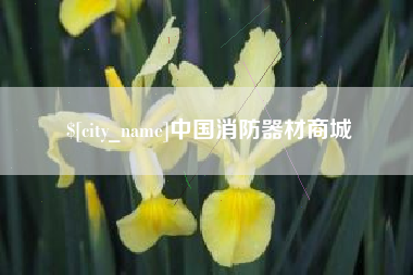 镇江中国消防器材商城
