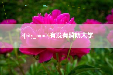 镇江有没有消防大学