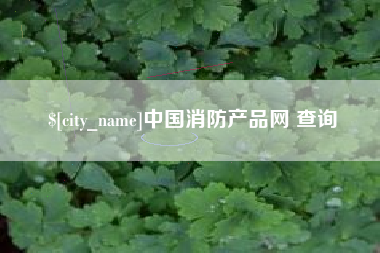镇江中国消防产品网 查询