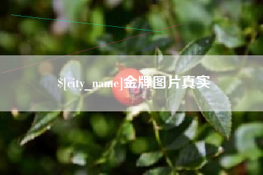 镇江金牌图片真实
