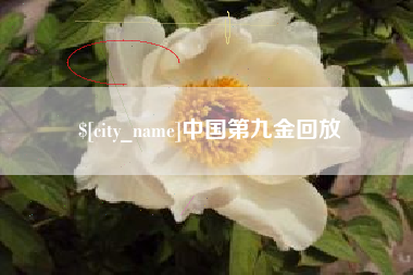 镇江中国第九金回放