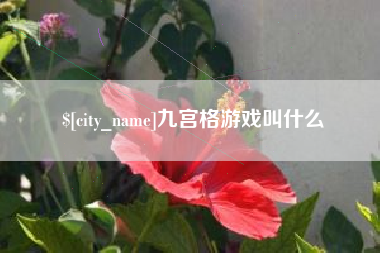 镇江九宫格游戏叫什么