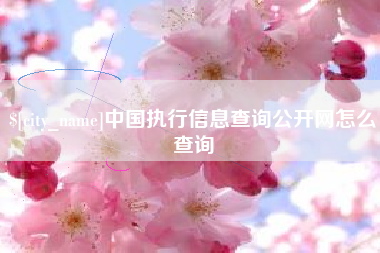 镇江中国执行信息查询公开网怎么查询