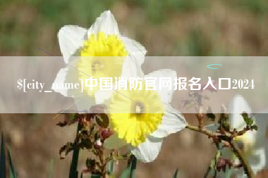 镇江中国消防官网报名入口2024