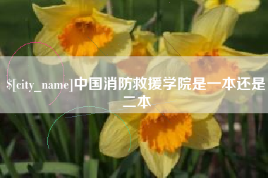 镇江中国消防救援学院是一本还是二本