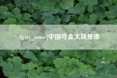 镇江中国夺金大项是谁