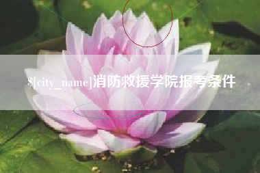 镇江消防救援学院报考条件