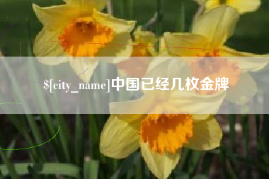 镇江中国已经几枚金牌