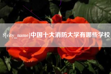 镇江中国十大消防大学有哪些学校