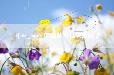 镇江中国队拿几块金牌了