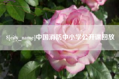 镇江中国消防中小学公开课回放