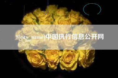 镇江中国执行信息公开网