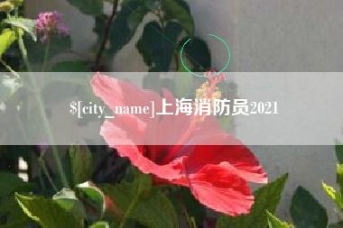 镇江上海消防员2021