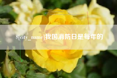 镇江我国消防日是每年的