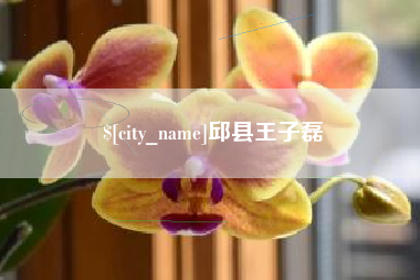 镇江邱县王子磊