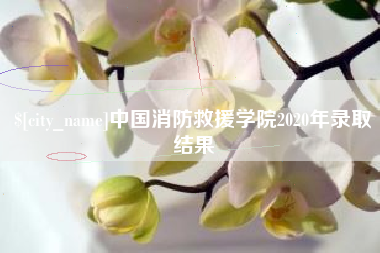 镇江中国消防救援学院2020年录取结果