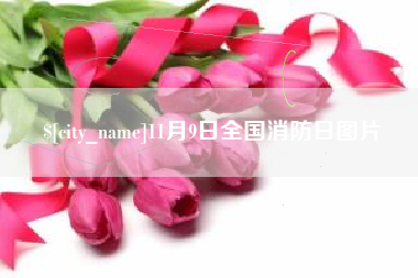 镇江11月9日全国消防日图片