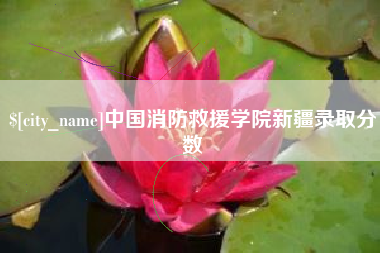 镇江中国消防救援学院新疆录取分数