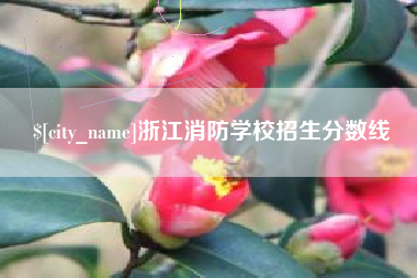镇江浙江消防学校招生分数线